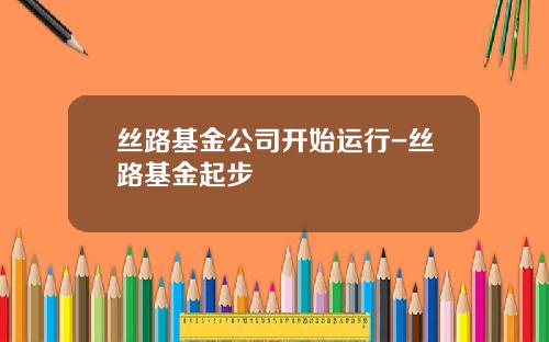 丝路基金公司开始运行-丝路基金起步