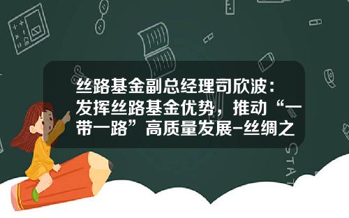 丝路基金副总经理司欣波：发挥丝路基金优势，推动“一带一路”高质量发展-丝绸之路基金