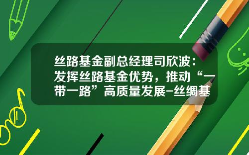 丝路基金副总经理司欣波：发挥丝路基金优势，推动“一带一路”高质量发展-丝绸基金
