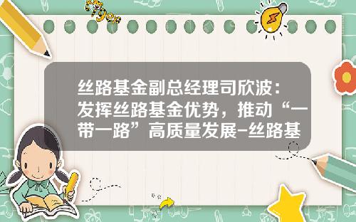 丝路基金副总经理司欣波：发挥丝路基金优势，推动“一带一路”高质量发展-丝路基金级别