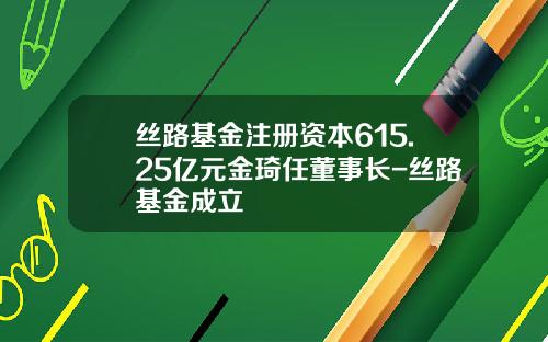 丝路基金注册资本615.25亿元金琦任董事长-丝路基金成立