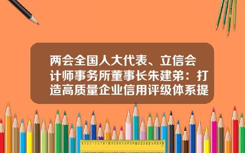 两会全国人大代表、立信会计师事务所董事长朱建弟：打造高质量企业信用评级体系提升信用评级和风险防范质量-融资性担保公司信用评级