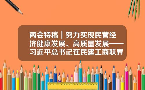 两会特稿｜努力实现民营经济健康发展、高质量发展——习近平总书记在民建工商联界联组会上的重要讲话引发热烈反响-上海延界实业有限公司