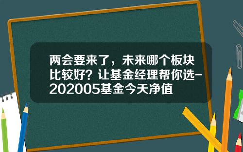 两会要来了，未来哪个板块比较好？让基金经理帮你选-202005基金今天净值