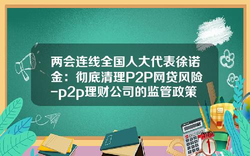 两会连线全国人大代表徐诺金：彻底清理P2P网贷风险-p2p理财公司的监管政策