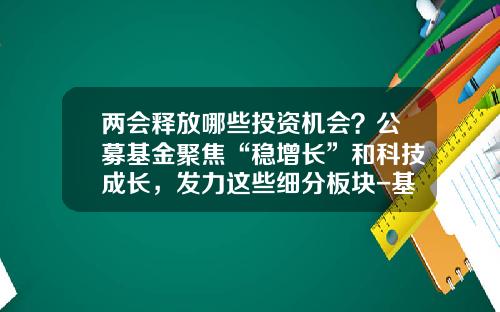 两会释放哪些投资机会？公募基金聚焦“稳增长”和科技成长，发力这些细分板块-基金与两会