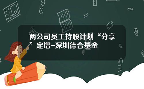 两公司员工持股计划“分享”定增-深圳德合基金