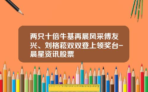 两只十倍牛基再展风采傅友兴、刘格菘双双登上领奖台-晨星资讯股票