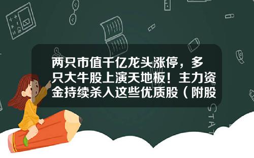 两只市值千亿龙头涨停，多只大牛股上演天地板！主力资金持续杀入这些优质股（附股）-哪里的股票资讯准确