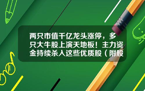 两只市值千亿龙头涨停，多只大牛股上演天地板！主力资金持续杀入这些优质股（附股）-最好的股票资讯是哪个