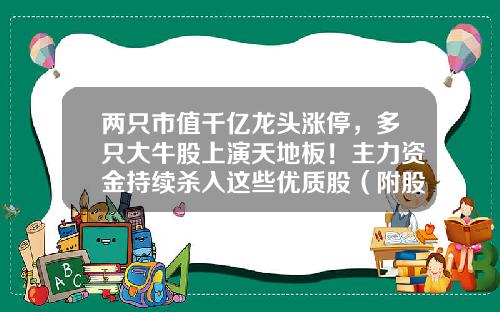 两只市值千亿龙头涨停，多只大牛股上演天地板！主力资金持续杀入这些优质股（附股）-股票主要板块股资附股资讯