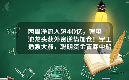 两周净流入超40亿，锂电池龙头获外资逆势加仓！军工指数大涨，聪明资金青睐中船系个股-看什么资讯买股票