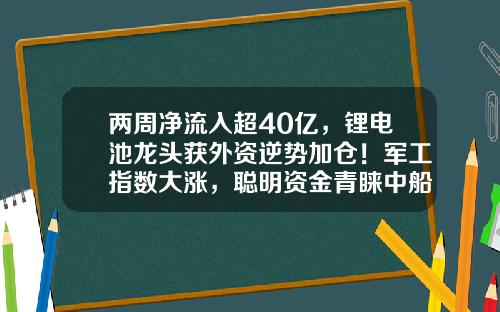 两周净流入超40亿，锂电池龙头获外资逆势加仓！军工指数大涨，聪明资金青睐中船系个股-购买股票资讯