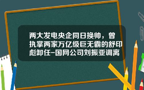 两大发电央企同日换帅，曾执掌两家万亿级巨无霸的舒印彪卸任-国网公司刘振亚调离