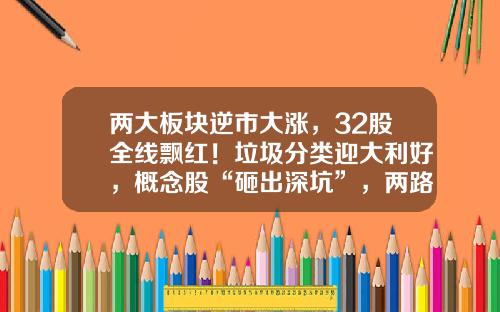 两大板块逆市大涨，32股全线飘红！垃圾分类迎大利好，概念股“砸出深坑”，两路资金同时盯上这些低市盈率股-生活垃圾处理上市公司