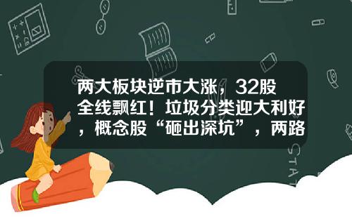 两大板块逆市大涨，32股全线飘红！垃圾分类迎大利好，概念股“砸出深坑”，两路资金同时盯上这些低市盈率股-股市影响股票的资讯