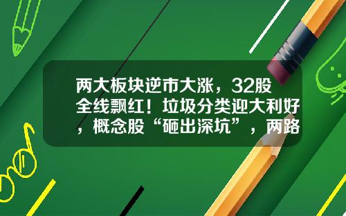 两大板块逆市大涨，32股全线飘红！垃圾分类迎大利好，概念股“砸出深坑”，两路资金同时盯上这些低市盈率股-股票资讯干货
