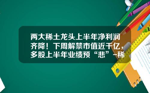 两大稀土龙头上半年净利润齐降！下周解禁市值近千亿，多股上半年业绩预“悲”-稀土最新资讯股票