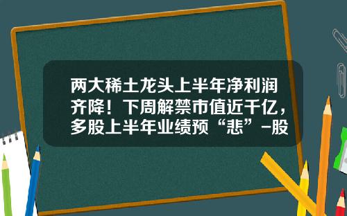 两大稀土龙头上半年净利润齐降！下周解禁市值近千亿，多股上半年业绩预“悲”-股票龙头最新资讯新闻报道