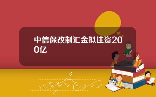 中信保改制汇金拟注资200亿
