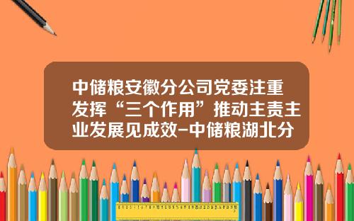 中储粮安徽分公司党委注重发挥“三个作用”推动主责主业发展见成效-中储粮湖北分公司领导