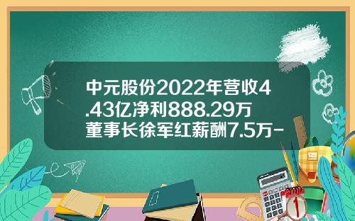 中元股份2022年营收4.43亿净利888.29万董事长徐军红薪酬7.5万-上市公司董事会工作报告