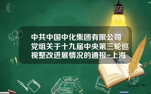 中共中国中化集团有限公司党组关于十九届中央第三轮巡视整改进展情况的通报-上海中化工程有限责任公司