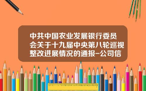 中共中国农业发展银行委员会关于十九届中央第八轮巡视整改进展情况的通报-公司信贷不良贷款管理
