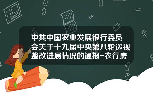 中共中国农业发展银行委员会关于十九届中央第八轮巡视整改进展情况的通报-农行房贷32万20年月供多少