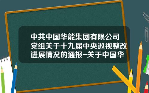 中共中国华能集团有限公司党组关于十九届中央巡视整改进展情况的通报-关于中国华能财务有限责任公司风险评估报告
