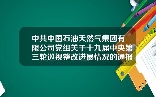 中共中国石油天然气集团有限公司党组关于十九届中央第三轮巡视整改进展情况的通报-中国石油集团公司旗帜