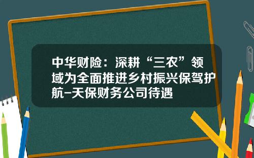 中华财险：深耕“三农”领域为全面推进乡村振兴保驾护航-天保财务公司待遇