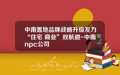 中南置地品牌战略升级发力“住宅+商业”双航道-中南npc公司