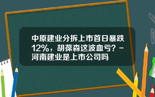 中原建业分拆上市首日暴跌12%，胡葆森这波血亏？-河南建业是上市公司吗