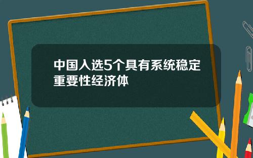 中国入选5个具有系统稳定重要性经济体