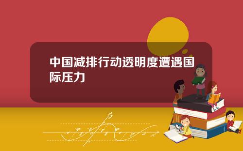 中国减排行动透明度遭遇国际压力