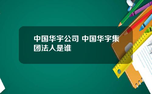 中国华宇公司 中国华宇集团法人是谁