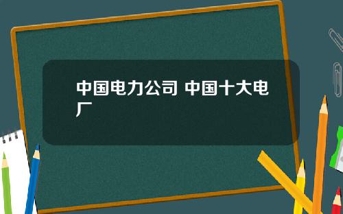 中国电力公司 中国十大电厂