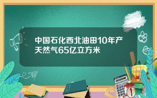 中国石化西北油田10年产天然气65亿立方米