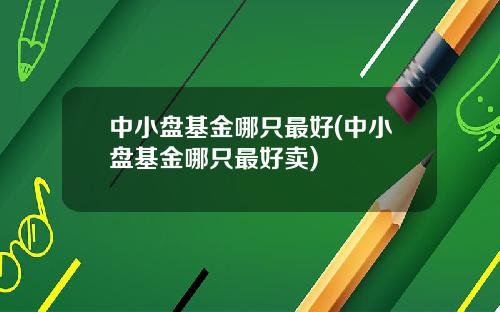中小盘基金哪只最好(中小盘基金哪只最好卖)