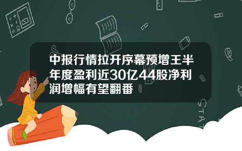 中报行情拉开序幕预增王半年度盈利近30亿44股净利润增幅有望翻番