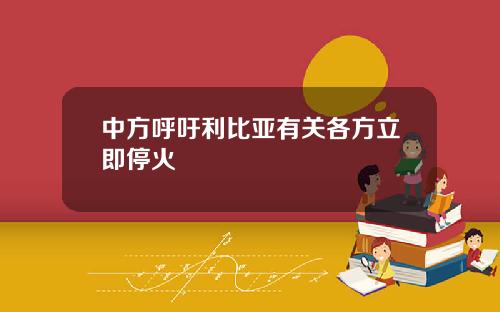 中方呼吁利比亚有关各方立即停火