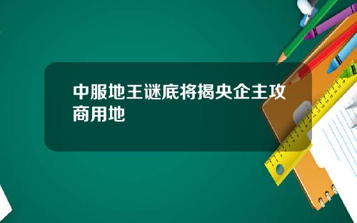 中服地王谜底将揭央企主攻商用地