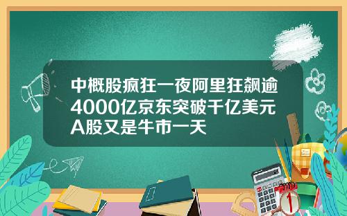 中概股疯狂一夜阿里狂飙逾4000亿京东突破千亿美元A股又是牛市一天