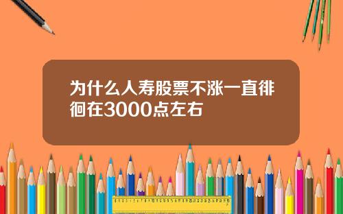 为什么人寿股票不涨一直徘徊在3000点左右