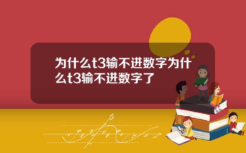 为什么t3输不进数字为什么t3输不进数字了
