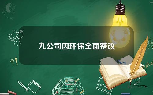 九公司因环保全面整改