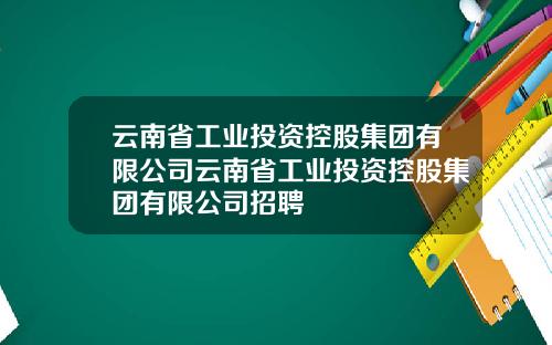 云南省工业投资控股集团有限公司云南省工业投资控股集团有限公司招聘