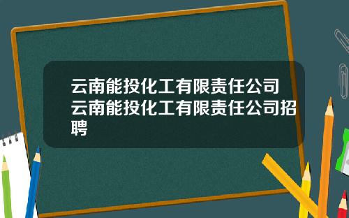 云南能投化工有限责任公司云南能投化工有限责任公司招聘