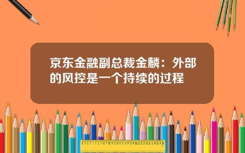 京东金融副总裁金麟：外部的风控是一个持续的过程